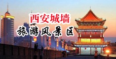 黑人巨屌后插入中国陕西-西安城墙旅游风景区